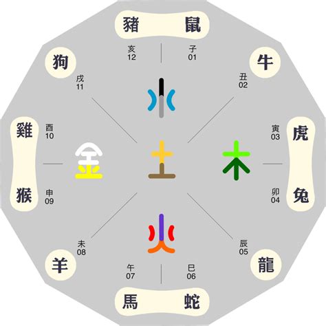 十二生肖 五行屬性|生肖與五行，十二生肖五行屬性查詢，生肖五行查詢